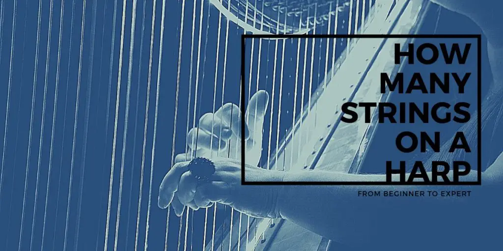 How many strings does a harp have? • Pro Music Vault