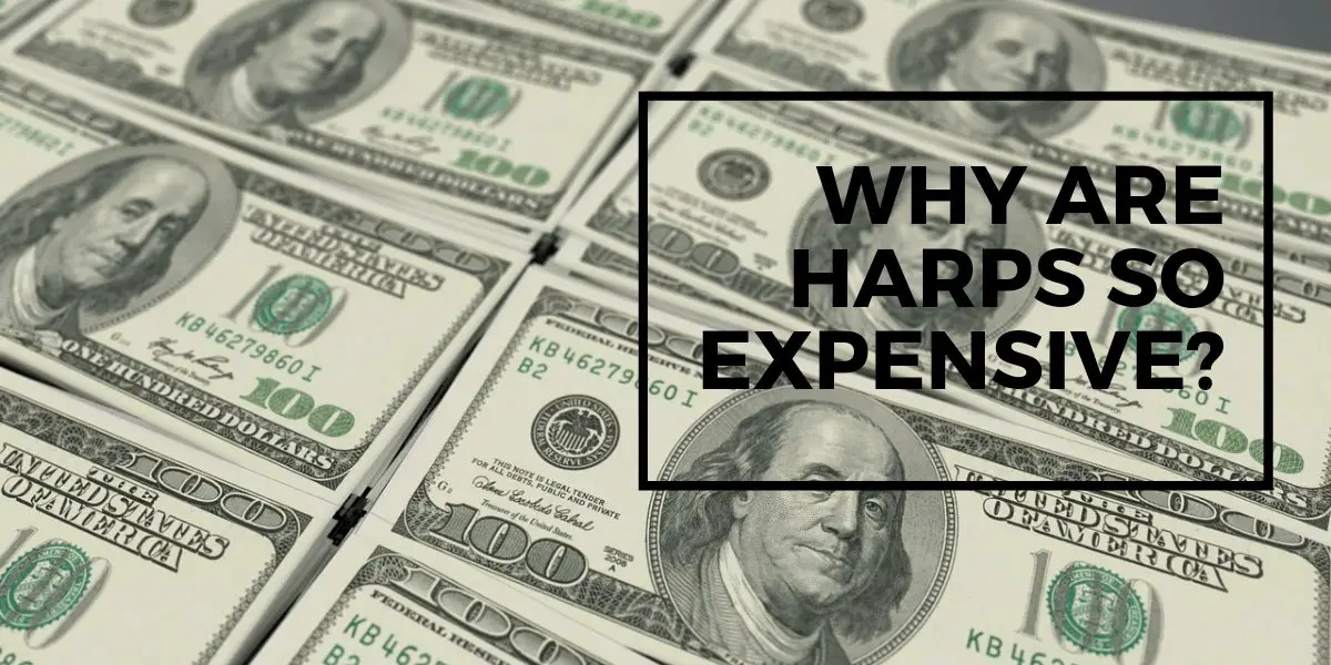Why are harps so expensive? • Pro Music Vault
