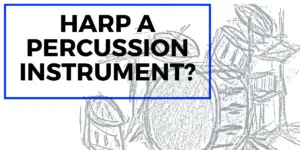 is harp percussion?