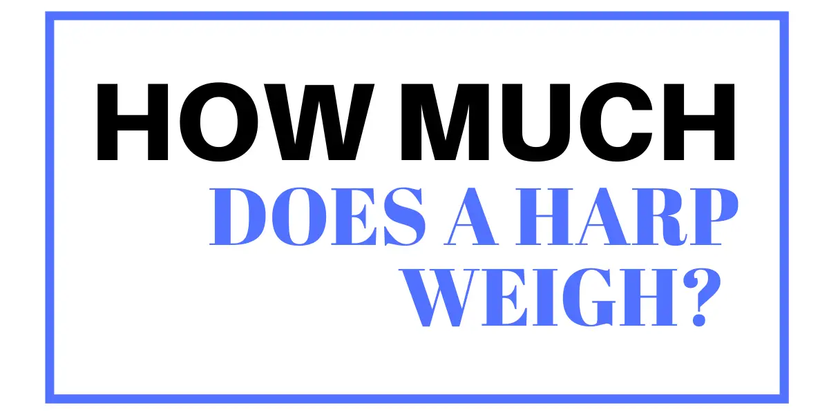 How Much Does a Harp Weigh? • Pro Music Vault