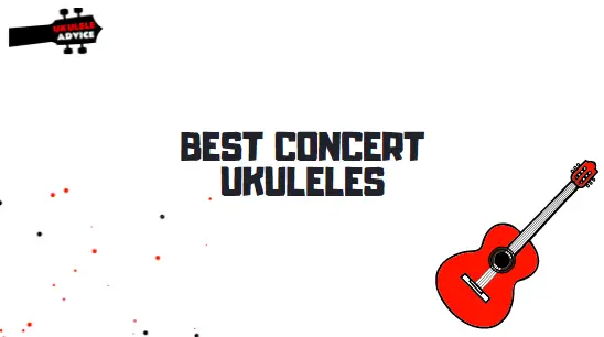 Best Concert Ukuleles for Beginners