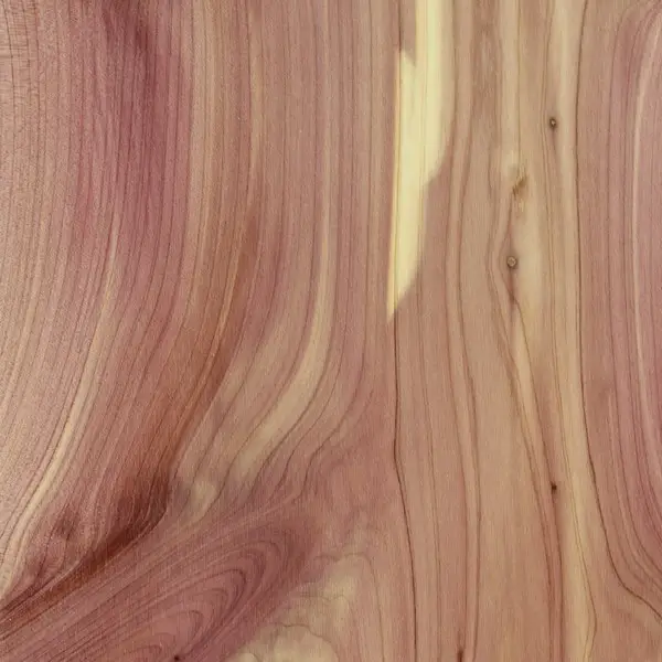 Cedar wood