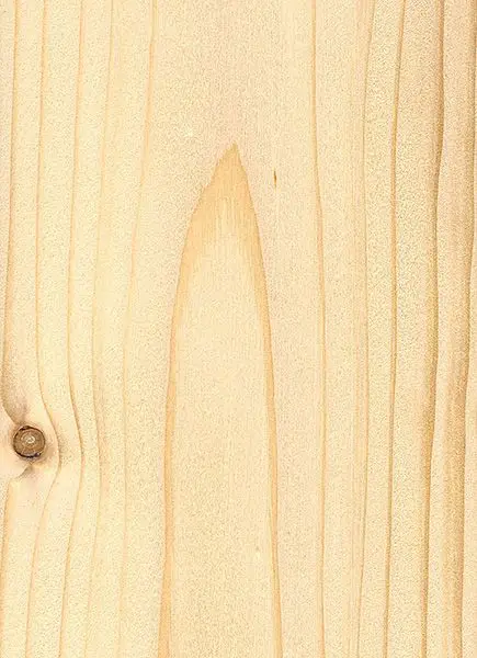 spruce wood